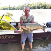  ,   Aleksei, 50 ,   ,   , c 