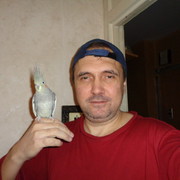  ,   , 52 ,   ,   , c 