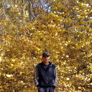  ,   , 55 ,   , 