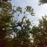 ���������� �������, ���� ������� Joni, 73 ����, ������������ ��� ������