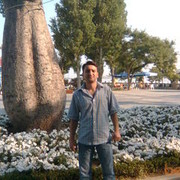  ,   Heydar, 41 ,     , c 