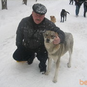 ���������� ������, ���� ������� ������, 62 ����, ������������ ��� ������