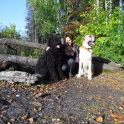 ���������� �������, ���� ������� ����, 48 ���, ������������ ��� ������, ����� � ���������, c�������� ���������