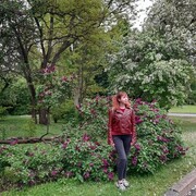  ,   , 26 ,   ,   