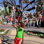 ���������� ����, ���� ������� ������, 43 ����, ������������ ��� ������, ����� � ���������, c�������� ���������