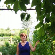  ,   Natali, 59 ,   ,   , c 