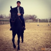 ���������� �������, ���� ������� Sardor, 35 ���, ������������ 