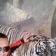 ���������� ������, ���� ������� ˸��, 36 ���, ������������ ��� ������, ����� � ���������