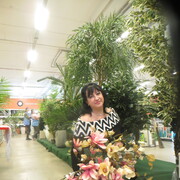  --,   , 55 ,  