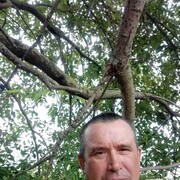  ,   , 54 ,  