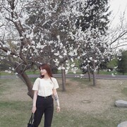 ���������� ������, ���� ������� ��������, 29 ���, ������������ ��� ������, ����� � ���������