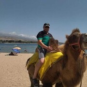 ���������� ������, ���� ������� ������, 40 ���, ������������ ��� ������, ����� � ���������