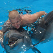 ���������� ������, ���� ������� ��������, 45 ���, ������������ ��� ������, ����� � ���������, c�������� ���������