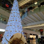 ,   Den, 43 ,   ,   , c 