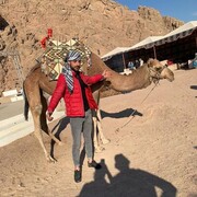 ���������� ���������, ���� ������� ������, 31 ���, ������������ ��� ������, ����� � ���������