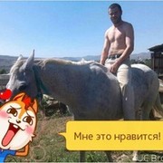  ,  , 43