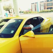 ���������� ������-��-����, ���� ������� Hol, 35 ���, ������������ ��� ������, ����� � ���������