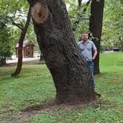  ,   , 49 ,   ,   , c 
