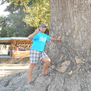 ,   , 54 ,   c 