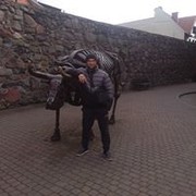  ,   , 41 ,   ,   , c 