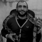 ���������� ������, ���� ������� ������, 39 ���, ������������ ��� ������, ����� � ���������