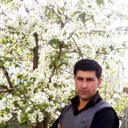 ���������� ����, ���� ������� Rafiq, 44 ����, ������������ ��� ������, ����� � ���������, c�������� ���������