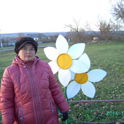  ,   , 58 ,  