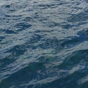 ���������� �����-�����, ������� Nasir, 32