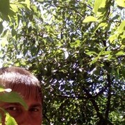  --,   , 42 ,     , c 
