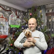 ���������� ������, ���� ������� �����, 44 ����, ������������ ��� ������, ����� � ���������