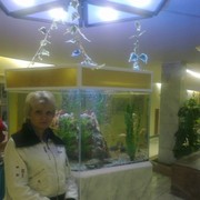  ,   , 63 ,   ,   , c 