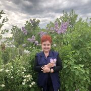 ���������� �����, ���� ������� �����, 58 ���, ������������ ��� c�������� ���������