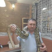  ,   , 50 ,   ,   
