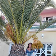  ,   , 51 ,     , c 