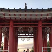 ���������� ������, ���� ����� ������, 22 ����, ������������ ��� ����� � ���������, ���������