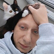  ,   , 29 ,     , c 