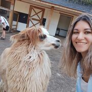 ���������� ������, ���� ������� �����, 38 ���, ������������ ��� ������, ����� � ���������, c�������� ���������, ���������