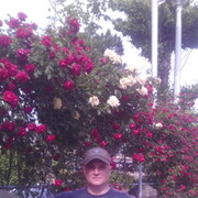  ,   , 46 ,   ,   , c , 