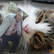  ,   Marius, 35 ,   