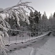 ���������� ����, ���� ������� �����, 39 ���, ������������ 