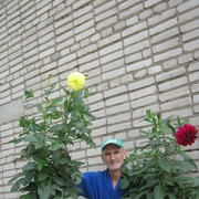  ,   , 63 ,   