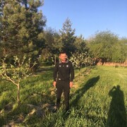 ���������� ���������, ���� ������� ������, 37 ���, ������������ ��� ������, ����� � ���������