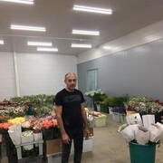  ,   , 50 ,   ,   