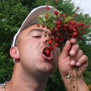 ���������� ��������, ���� ������� ���������, 42 ����, ������������ 