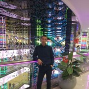 ���������� ������, ���� ������� �����, 43 ����, ������������ ��� ������, ����� � ���������