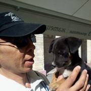 ���������� ���������, ���� ������� NATAN, 55 ���, ������������ ��� ������, ����� � ���������, c�������� ���������, ���������