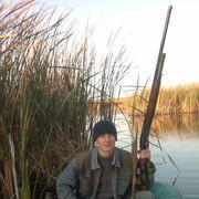 ���������� ������, ���� ������� ���������, 38 ���, ������������ ��� ����� � ���������, c�������� ���������