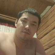 ���������� ������, ���� ������� Alexander, 31 ���, ������������ ��� ������, ����� � ���������, c�������� ���������