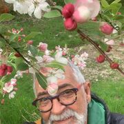 ���������� ������, ���� ������� ������, 49 ���, ������������ ��� ������, ����� � ���������