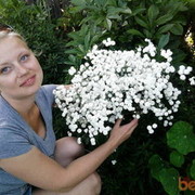 ���������� �����, ���� ������� ������, 41 ���, ������������ ��� ������, ����� � ���������, c�������� ���������